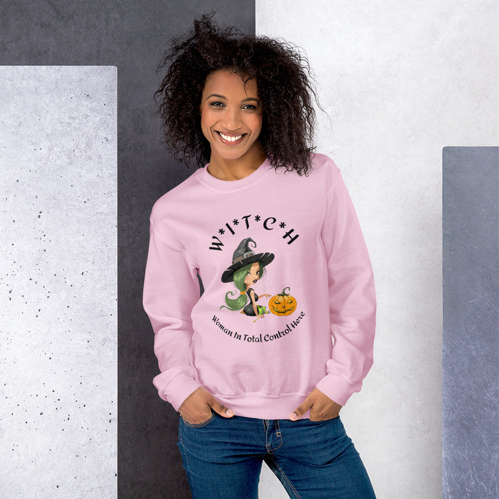 Witch Definition Sweat Shirt