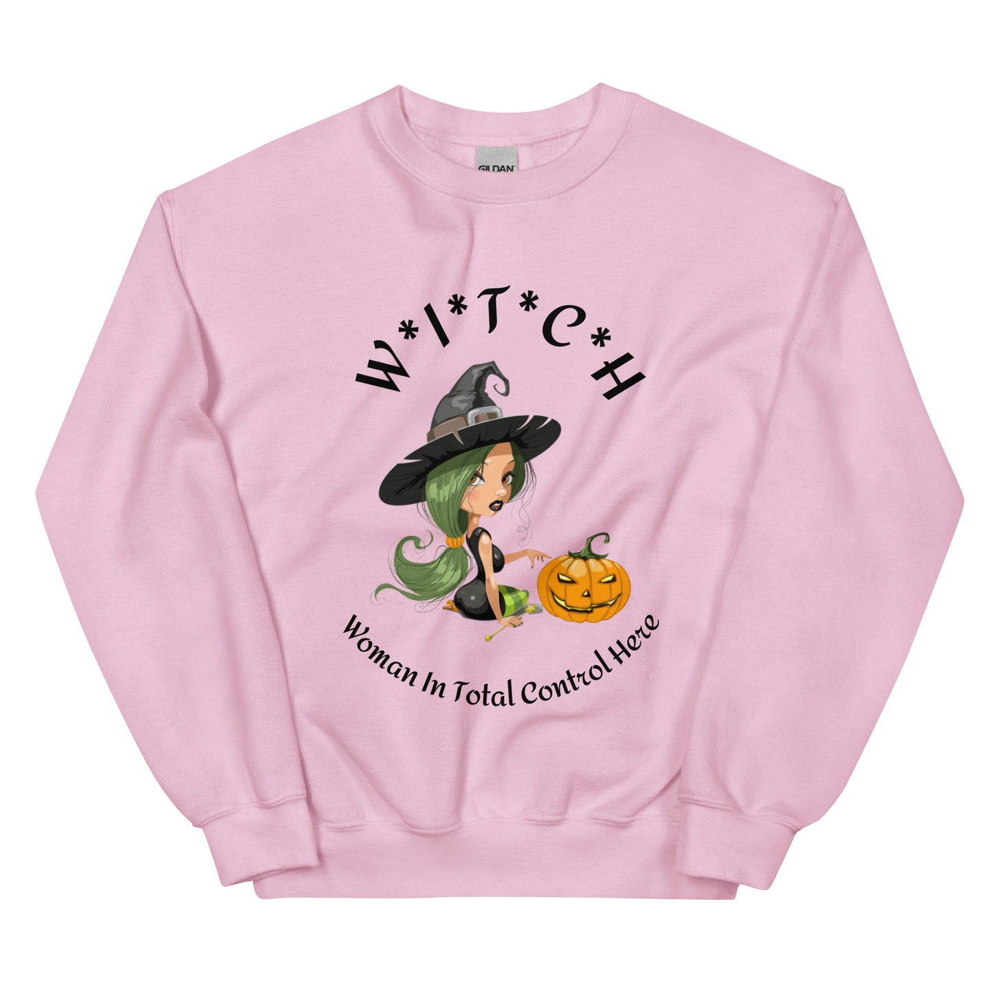 Witch Definition Sweat Shirt