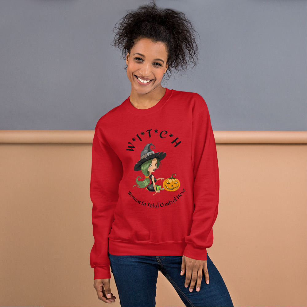 Witch Definition Sweat Shirt